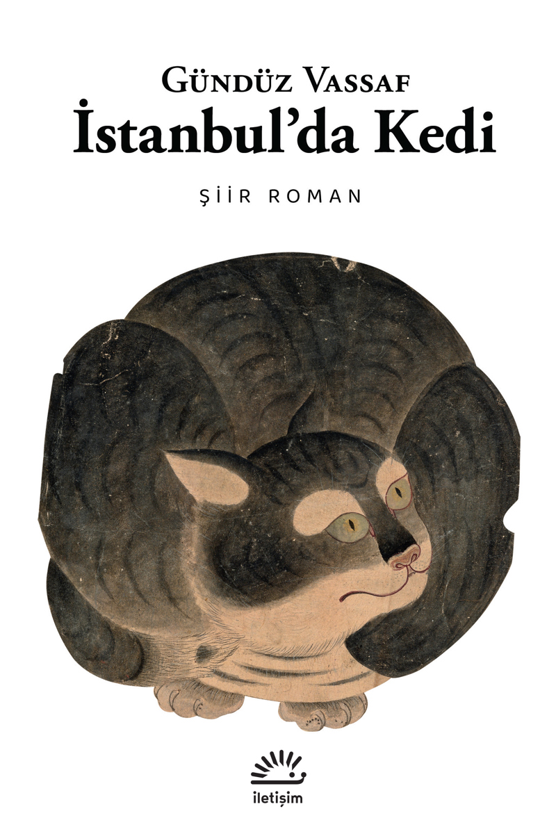 İstanbul’da Kedi