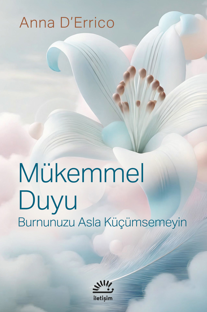 Mükemmel Duyu