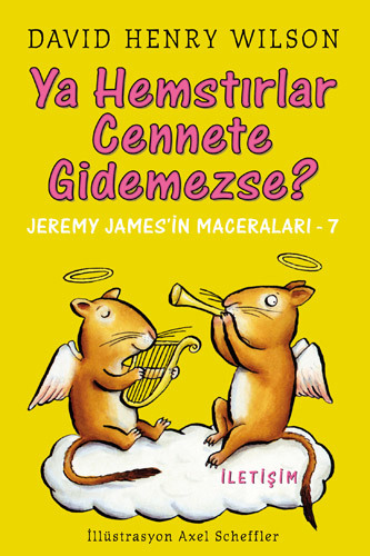 Ya Hemstırlar Cennete Gidemezse?